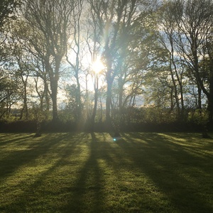 Pod Field Camping area